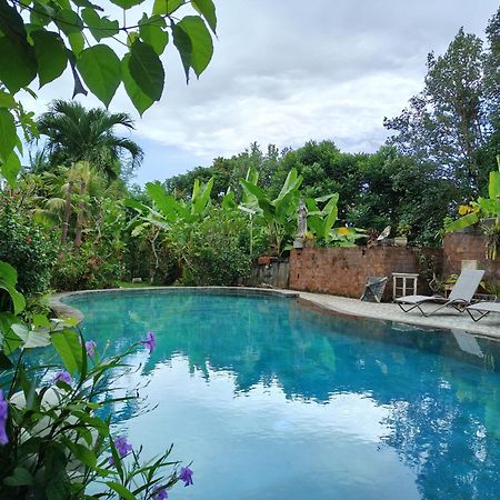 Warsi Bungalow Ubud Dış mekan fotoğraf